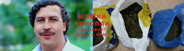 ешки Белокуриха