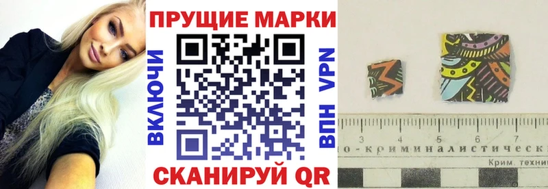 дарк нет наркотические препараты  mega рабочий сайт  Шилка  что такое   Марки N-bome 1,5мг 