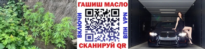 сколько стоит  Шилка  mega онион  Дистиллят ТГК концентрат 