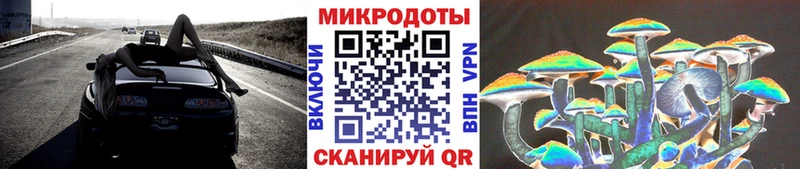 Галлюциногенные грибы мицелий  как найти   Шилка 