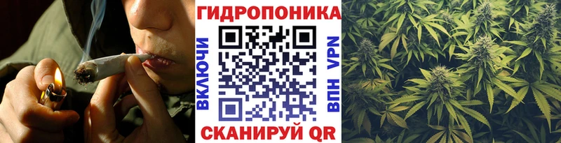 дарнет шоп  Шилка  МАРИХУАНА SATIVA & INDICA 